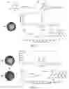 Fig. 03 - SHIKIMATE ANALOGUES AND METHODS OF USE