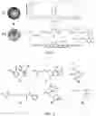 Fig. 04 - SHIKIMATE ANALOGUES AND METHODS OF USE