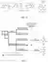 Fig. 06 - SHIKIMATE ANALOGUES AND METHODS OF USE