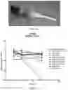 Fig. 10 - SHIKIMATE ANALOGUES AND METHODS OF USE