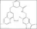 Fig. 27 - THERAPEUTIC INHIBITORY COMPOUNDS