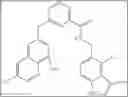 Fig. 61 - THERAPEUTIC INHIBITORY COMPOUNDS