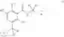 Fig. 09 - Therapeutic inhibitory compounds