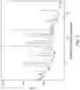 Fig. 05 - Solid forms of cerdulatinib