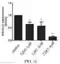 Fig. 12 - AURKB SMALL-MOLECULE INHIBITORS AND USES THEREOF
