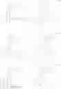Fig. 101 - Compounds having valerolactam structures