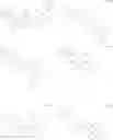 Fig. 113 - Compounds having valerolactam structures