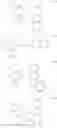 Fig. 404 - Compounds having valerolactam structures