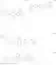 Fig. 95 - Compounds having valerolactam structures
