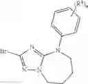 Fig. 41 - Bridged piperidine derivatives