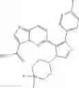 Fig. 726 - TGF-beta inhibitors