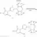 Fig. 07 - AR-V7 INHIBITORS