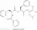 Fig. 08 - Process for the preparation of boronic acid esters
