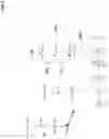 Fig. 06 - ANION EXCHANGE STATIONARY PHASES BASED ON A POLYALKYLPOLYAMINE POLYMER LAYER