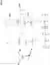 Fig. 07 - ANION EXCHANGE STATIONARY PHASES BASED ON A POLYALKYLPOLYAMINE POLYMER LAYER