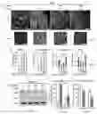 Fig. 04 - Compositions and methods for the delivery of nucleic acids