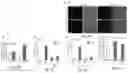 Fig. 06 - Compositions and methods for the delivery of nucleic acids