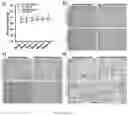 Fig. 22 - Compositions and methods for the delivery of nucleic acids