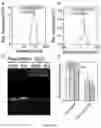 Fig. 28 - Compositions and methods for the delivery of nucleic acids
