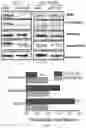 Fig. 32 - Compositions and methods for the delivery of nucleic acids