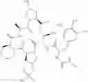 Fig. 189 - Substituted urea depsipeptide analogs as activators of the ClpP endopeptidase
