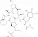 Fig. 191 - Substituted urea depsipeptide analogs as activators of the ClpP endopeptidase