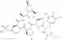 Fig. 211 - Substituted urea depsipeptide analogs as activators of the ClpP endopeptidase