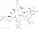 Fig. 216 - Substituted urea depsipeptide analogs as activators of the ClpP endopeptidase