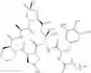 Fig. 232 - Substituted urea depsipeptide analogs as activators of the ClpP endopeptidase