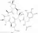 Fig. 241 - Substituted urea depsipeptide analogs as activators of the ClpP endopeptidase