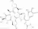 Fig. 261 - Substituted urea depsipeptide analogs as activators of the ClpP endopeptidase