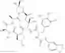 Fig. 280 - Substituted urea depsipeptide analogs as activators of the ClpP endopeptidase