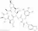 Fig. 282 - Substituted urea depsipeptide analogs as activators of the ClpP endopeptidase