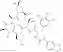 Fig. 286 - Substituted urea depsipeptide analogs as activators of the ClpP endopeptidase