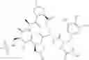 Fig. 313 - Substituted urea depsipeptide analogs as activators of the ClpP endopeptidase