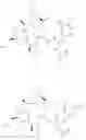 Fig. 46 - Substituted urea depsipeptide analogs as activators of the ClpP endopeptidase