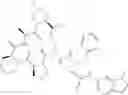 Fig. 481 - Substituted urea depsipeptide analogs as activators of the ClpP endopeptidase