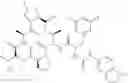 Fig. 640 - Substituted urea depsipeptide analogs as activators of the ClpP endopeptidase