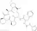 Fig. 693 - Substituted urea depsipeptide analogs as activators of the ClpP endopeptidase