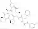 Fig. 705 - Substituted urea depsipeptide analogs as activators of the ClpP endopeptidase