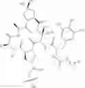 Fig. 95 - Substituted urea depsipeptide analogs as activators of the ClpP endopeptidase