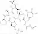 Fig. 98 - Substituted urea depsipeptide analogs as activators of the ClpP endopeptidase