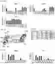 Fig. 05 - Epitope-substituted vaccine for use in improving safety and immunogenicity against dengue viruses