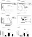 Fig. 07 - Epitope-substituted vaccine for use in improving safety and immunogenicity against dengue viruses