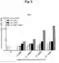 Fig. 04 - COMPOSITION COMPRISING RECOMBINANT FUSION PROTEIN OF PATHOGENIC ANTIGEN PROTEIN AND FLAGELLIN OF VIBRIO VULNIFICUS FOR PREVENTING, ALLEVIATING, OR TREATING AGING