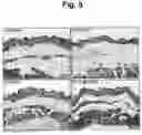 Fig. 06 - COMPOSITION COMPRISING RECOMBINANT FUSION PROTEIN OF PATHOGENIC ANTIGEN PROTEIN AND FLAGELLIN OF VIBRIO VULNIFICUS FOR PREVENTING, ALLEVIATING, OR TREATING AGING