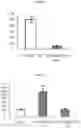 Fig. 07 - MICROPEPTIDES AND USE OF SAME FOR MODULATING GENE EXPRESSION