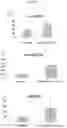 Fig. 09 - MICROPEPTIDES AND USE OF SAME FOR MODULATING GENE EXPRESSION