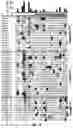 Fig. 08 - Methods for protein tyrosine phosphorylation profiling with variant SH2 domains