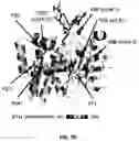 Fig. 09 - Methods for protein tyrosine phosphorylation profiling with variant SH2 domains
